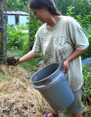 Scattering seed ball mixture