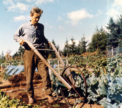 Coleman in garden