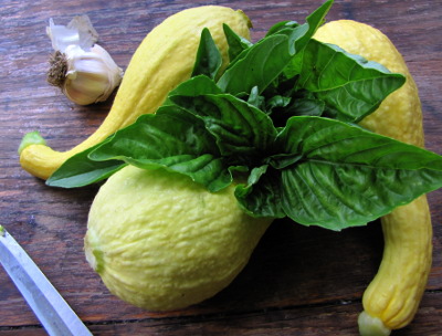 Squash and basil