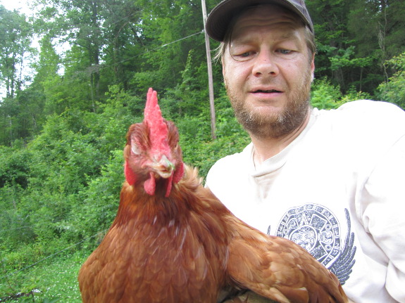 Holding a hen