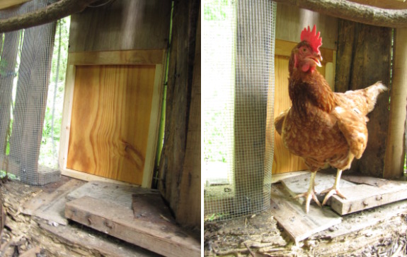 automatic chicken coop door opener/closer