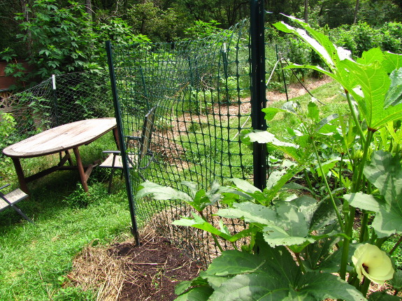 Pea trellis