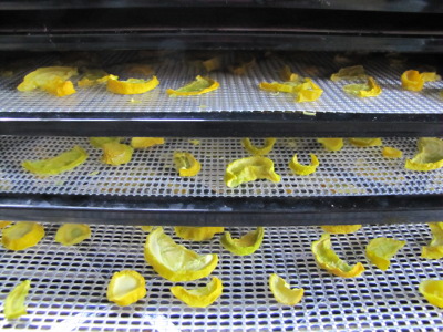 Drying squash