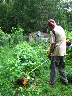 Cutting cover crops