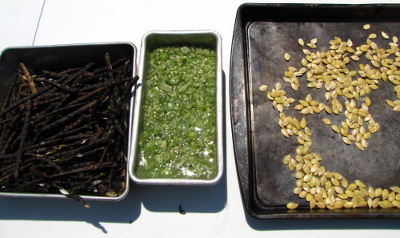 Seed saving