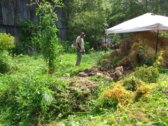 Forest garden maintenance