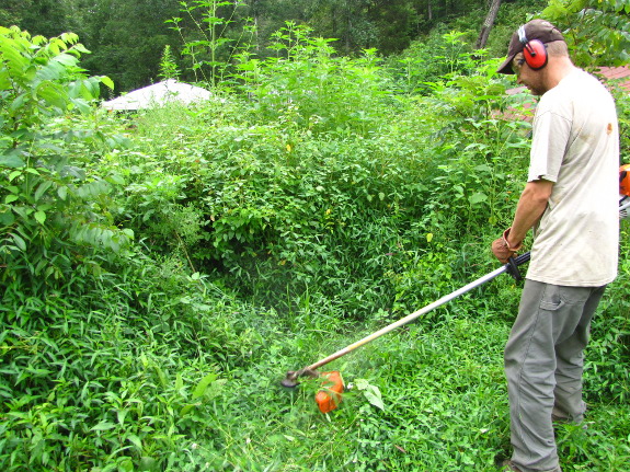 Weed eating