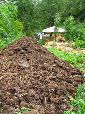 Pile of manure