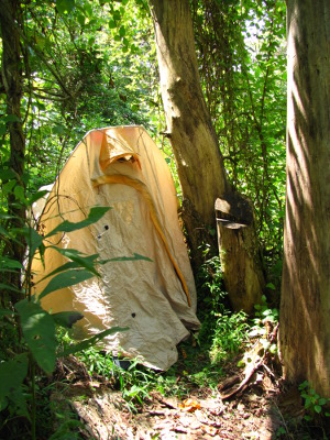 Tent in woods