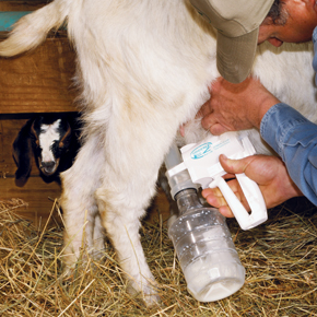Goat breast pump