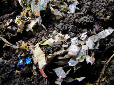 Uncomposted worm bedding