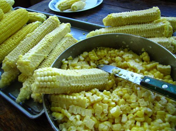 Cutting corn off the cob