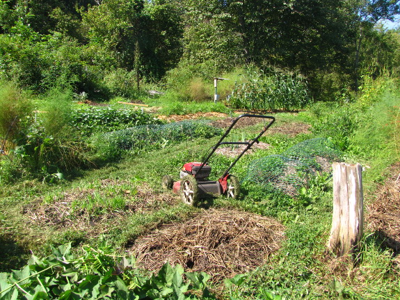 Late summer garden