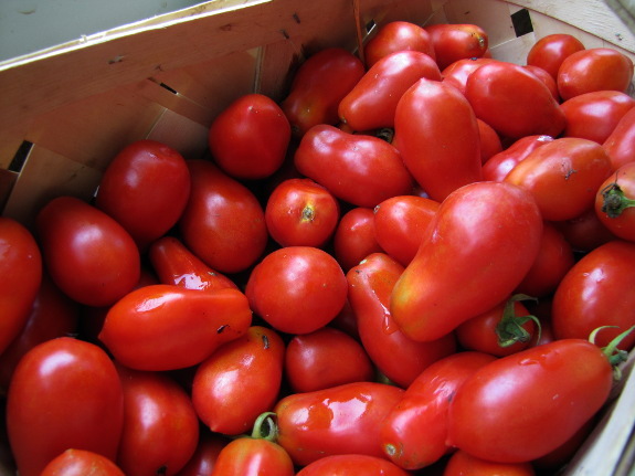 Basket of tomatoes