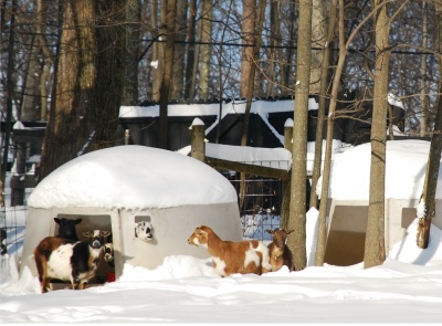 Polydome goat shelter