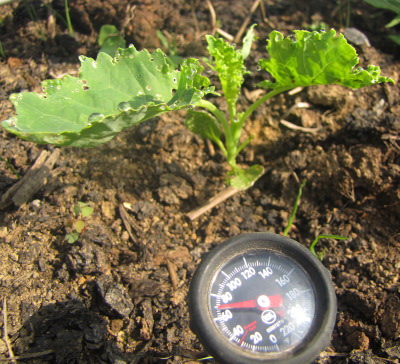 Soil temperature