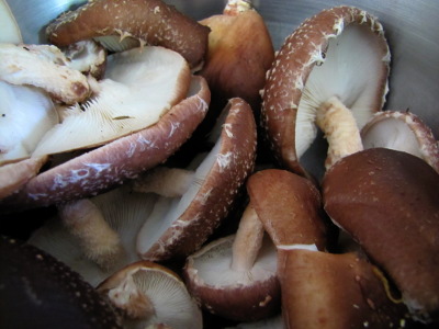 Shiitake mushrooms