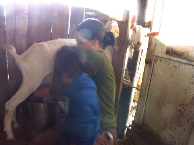 Family milking