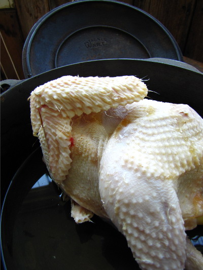 Old Hen In Parsley Sauce Recipe - Reformation Acres