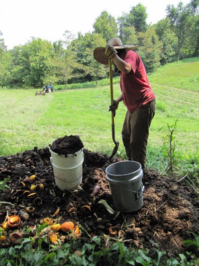 Bucket of manure