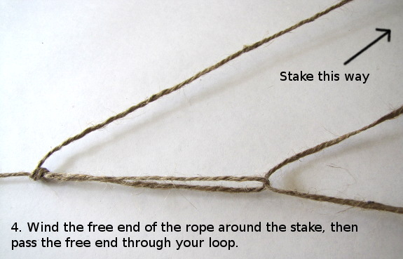 Wind the free end of the rope around the stake, then pass the free end through your loop.