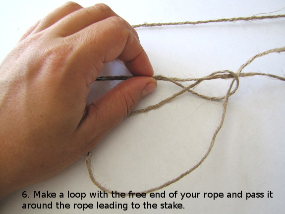 Make a loop with the free end of your rope and pass it around the rope leading to the stake.