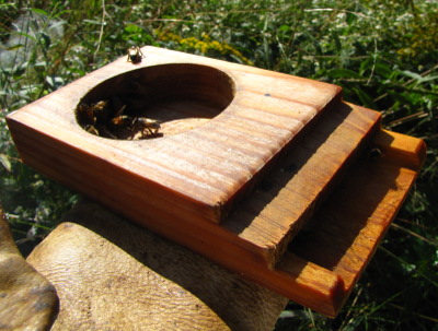 Bee feeder