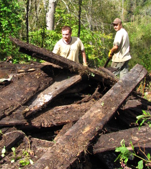 hiring for homesteading chores the sequel image