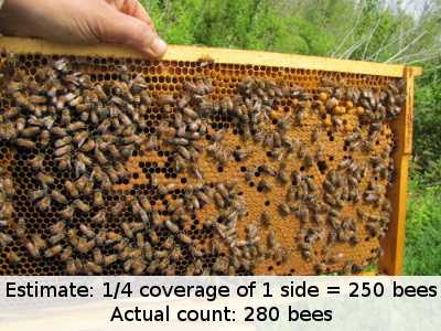Estimating bees per frame
