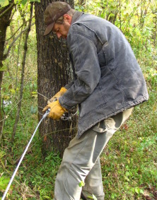 another image of tree helping with winching