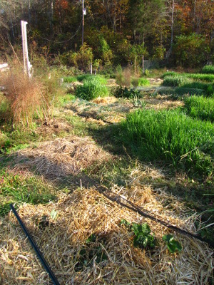 Diverse garden