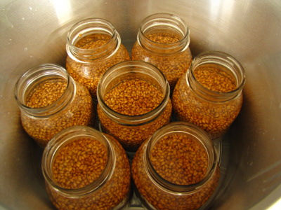 Sterilizing grain