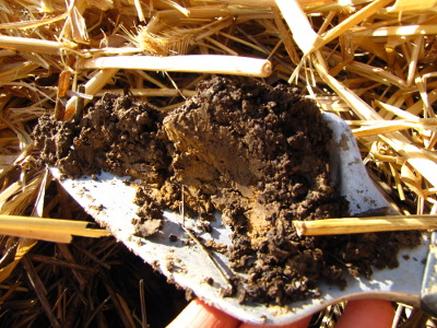 Sampling soil