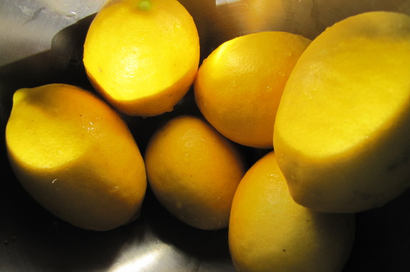 Dwarf Meyer lemons