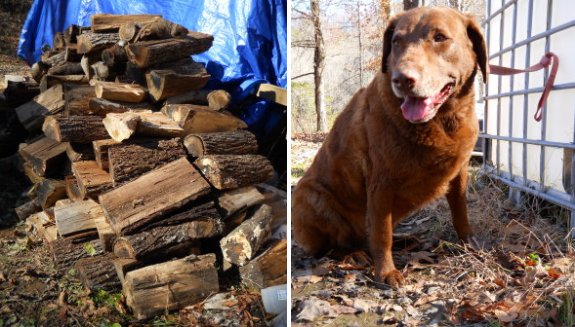 measuring firewood to see how close to a cord it is