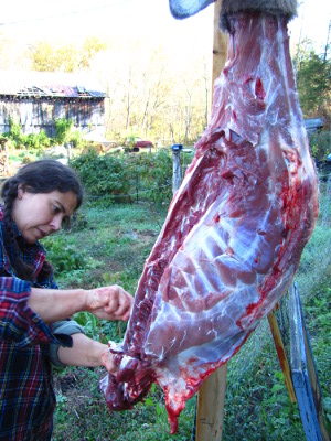 Cutting up a deer