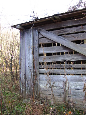 Shed