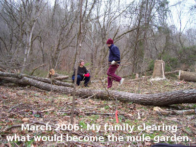 March 2006: My familiy clearing what would become the mule garden