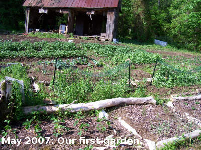 May 2007: Our first garden