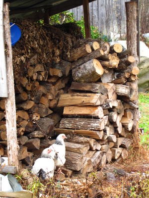 Wood shed