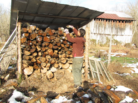 Stacking the wood pile