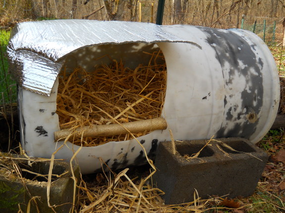 how to make a small chicken coop enclosure out of a 50 gallon plastic barrel
