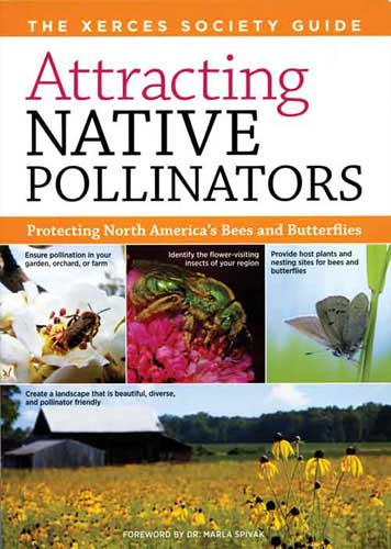 Attracting Native Pollinators