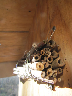 Bamboo nest bundle