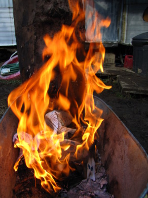 Charring bee nest