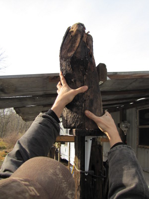 Mounting bee nest