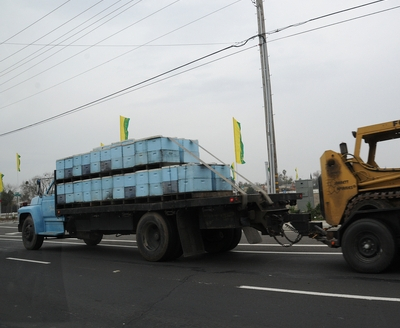 Trucking honeybees