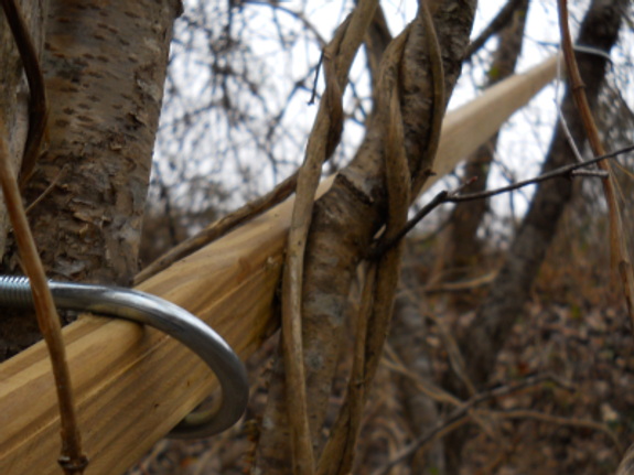 how to use a treated furring strip as a make shift hand rail for a trail hill