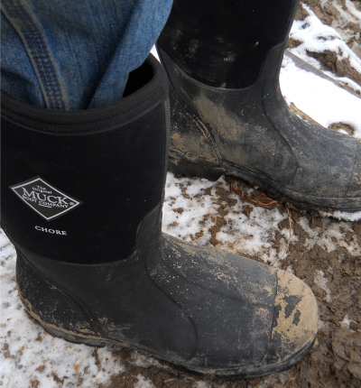 Muck boots in action day one Chore version