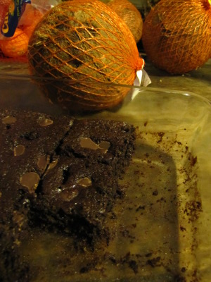 Coconut flour brownies